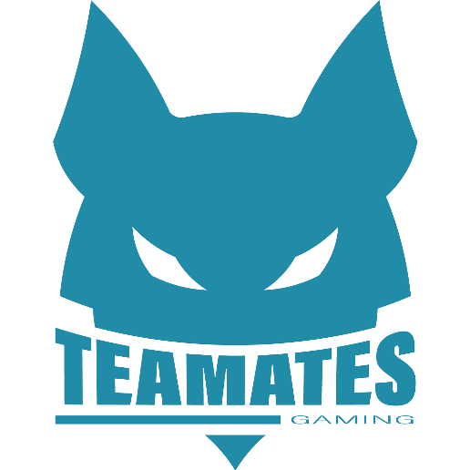 Logo du site Teamates Gaming